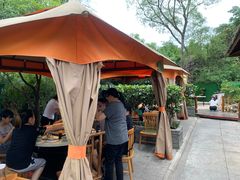 -二荆条·蜀鲜汇城市森林火锅