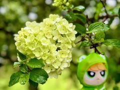 -苏州上方山国家森林公园