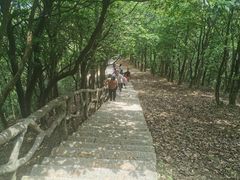 -梧桐山风景名胜区