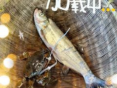 -宁波柏悦酒店·钱湖渔港