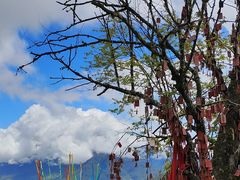 -硗碛藏寨·神木垒景区