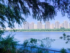 -长白岛森林公园