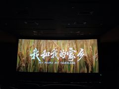 -保利国际影城(保利文化广场店)