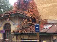 -哈尔滨文化公园