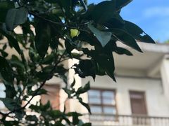 -乌村