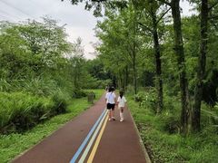 -桤木河湿地公园