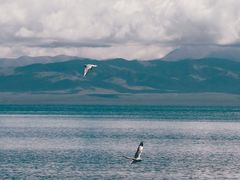 -青海湖国家重点风景名胜区