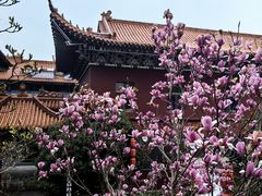 -皇罗禅寺