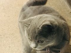-金谷里艺术馆