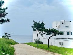 -海岛日记(养马岛店)