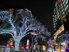 -包装马车·韩国料理·포장마차