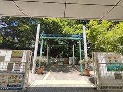 -九龙公园