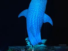 -珠海长隆海洋王国