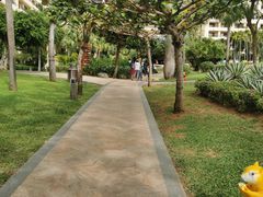 -三亚亚龙湾天域度假酒店