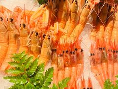 -Mr.Fish鱼鲜生海鲜放题(高德置地冬广场店)