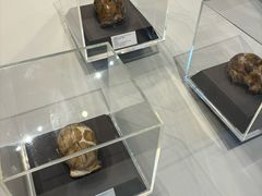 -北京周口店北京人遗址博物馆