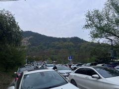 -南京老山国家森林公园