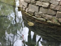 -水磨沟公园