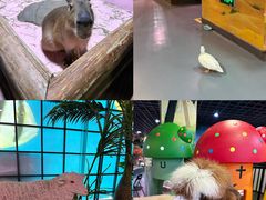 -顺德南宏海立方海洋公园