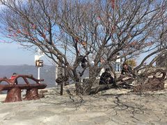 -神农山景区