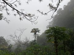 -海口火山口国家地质公园