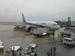 -全日本空输株式会社(上海办事处)