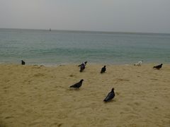 -海云台海滩