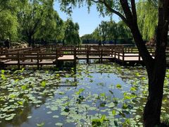 景点-朝阳公园