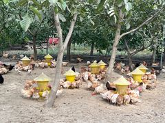 -兴芮温泉度假区