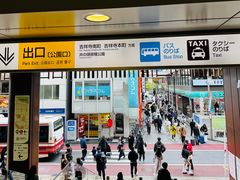 -井之头恩赐公园