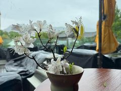 -时光吧·大堂吧·丽江和府洲际度假酒店