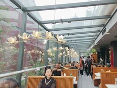 -唐猫庭院·千年陕菜(大唐不夜城店)