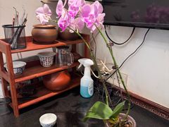 -山水茶艺馆·点心粤菜·30年老字号