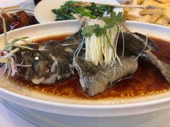 -千灯盛汇·头牌粤菜(致越优城店)