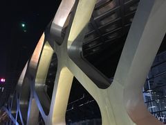-华润深圳湾体育中心-“春茧” 体育馆