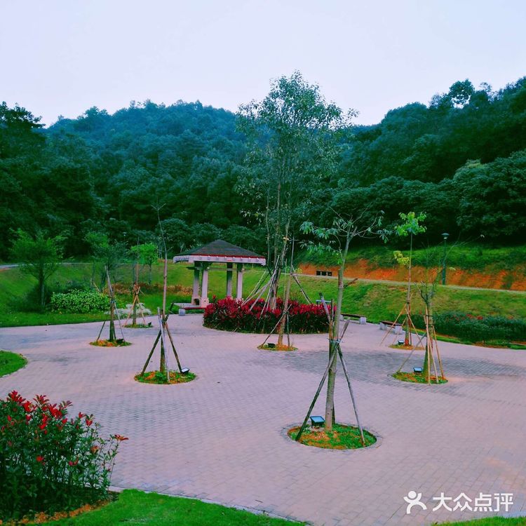 攻略 | 深圳罗田森林公园