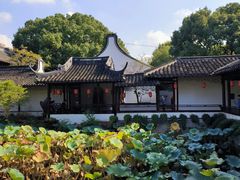 -上海醉白池公园