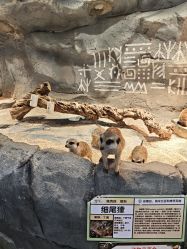 -Zoolung Zoolung动物主题公园(海信广场店)