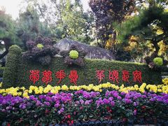 -莲湖公园