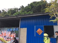 -万泉河漂流