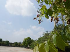 -广东工业大学(大学城校区)