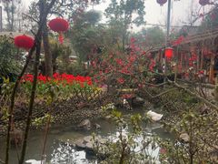 -青城甲(青城山店)