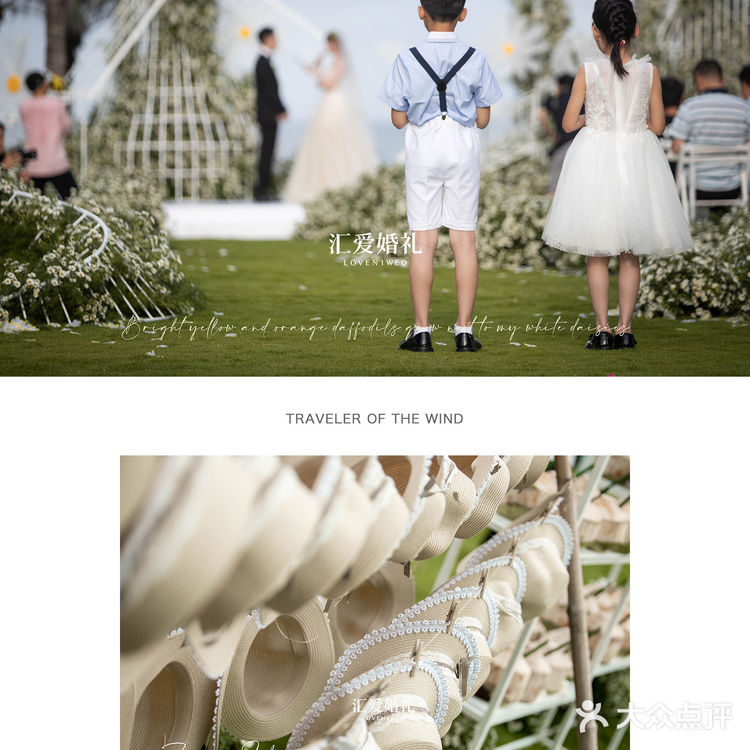 三亚婚礼｜艾迪逊婚礼｜小雏菊花海🌼🌼