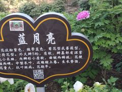 -洛阳市隋唐城遗址植物园