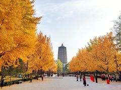 -玲珑塔公园