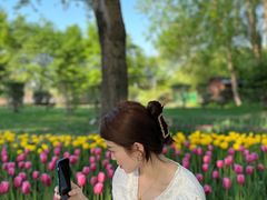 -长春公园(普阳街道)