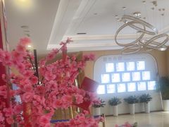 -合肥美奥口腔·种植矫正中心(政务院)