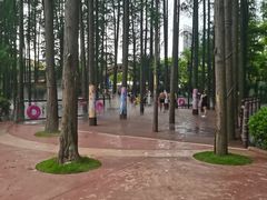 -武汉玛雅海滩水公园