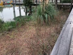 -尚贤河湿地