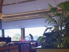 -辛香汇·现炒川菜(城北万象城店)